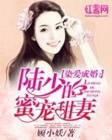 染愛成婚：陸少的蜜寵甜妻