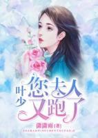 葉少，夫人又跑了