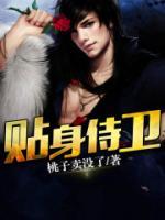 貼身侍衛(wèi)