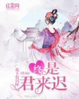 終是君來遲