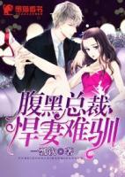腹黑總裁：悍妻難馴