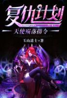 復(fù)仇計(jì)劃：天使殞落指令