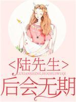 陸先生，后會無期