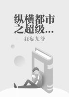 縱橫都市之超級特種兵
