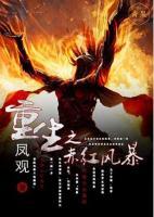 重生之赤紅暴風(fēng)