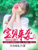 寶貝來襲，抱得總裁歸