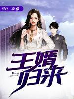 王婿歸來(lái)