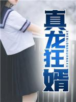 真龍狂婿