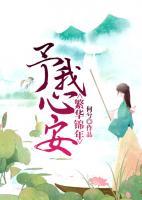 繁華錦年，予我心安
