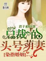 染指婚姻：總裁的頭號(hào)萌妻
