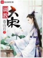 調(diào)教大宋