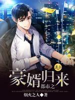 都市之豪婿歸來