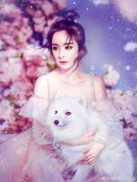 神醫(yī)媽咪她傾國傾城