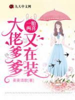 一胎兩喜，大佬爹爹又在裝