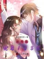 陸先生寵妻108式