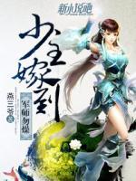 少主嫁到，軍師勿燥