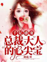 千億盛寵：總裁大人的心尖寶