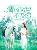 清風(fēng)明月不及你