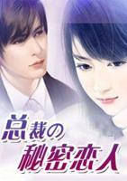 總裁的神秘戀人