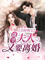 天價萌寶：盛爺，夫人又要離婚！