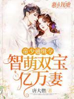 帝少通緝令：智萌雙寶億萬妻