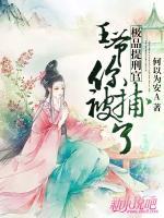 極品提刑官:王爺，你被捕了