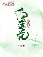 白蓮花養(yǎng)成記
