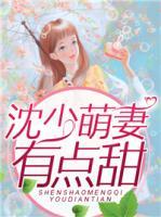 沈少萌妻有點甜