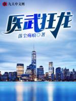 醫(yī)武狂龍