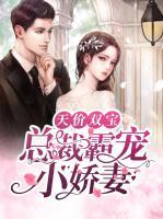 天價(jià)雙寶：總裁霸寵小嬌妻