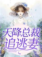 天降總裁追逃妻