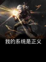 我的系統(tǒng)是正義