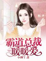 霸道總裁暖暖愛(ài)