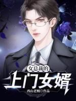 女總裁的上門女婿