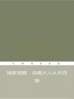 獨家寵愛：總裁大人從天而降
