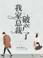 我家總裁破產(chǎn)了