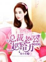 總裁老公超給力