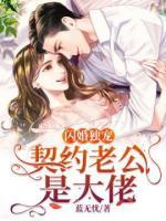 閃婚獨(dú)寵：契約老公是大佬