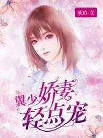 翼少嬌妻輕點(diǎn)寵