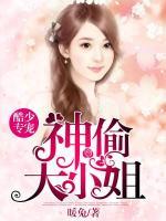 酷少專寵：神偷大小姐