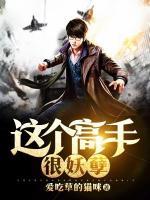 全能傭兵殺手