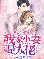 七少絕寵：我家小妻是大佬