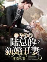 千億盛寵，陸總的新婚丑妻