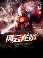 風(fēng)云龍婿
