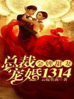 金牌甜妻，總裁寵婚1314
