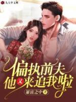偏執(zhí)前夫，他又來追我啦