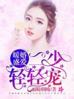 暖婚盛愛：二少，輕輕寵！