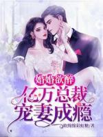 婚婚欲醉：億萬總裁寵妻成癮