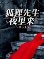 狐貍先生，夜里來