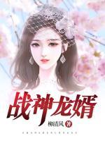 戰(zhàn)神龍婿